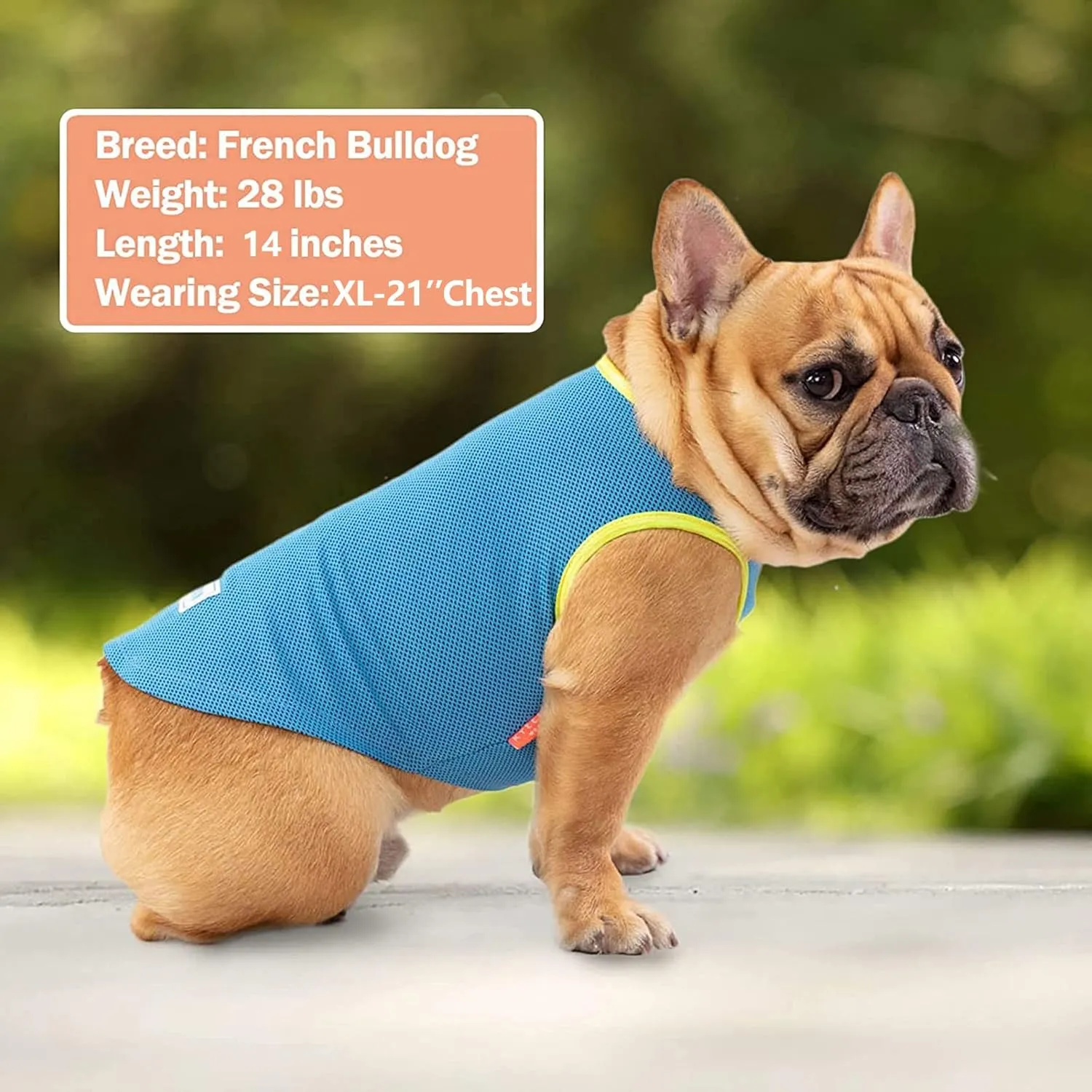 KYEESE 2 Pack Dog Cooling Shirts - Breathable Instant Cooling Vests, Lightweight for Summer Dog Apparel, Blue Grey, X-Large