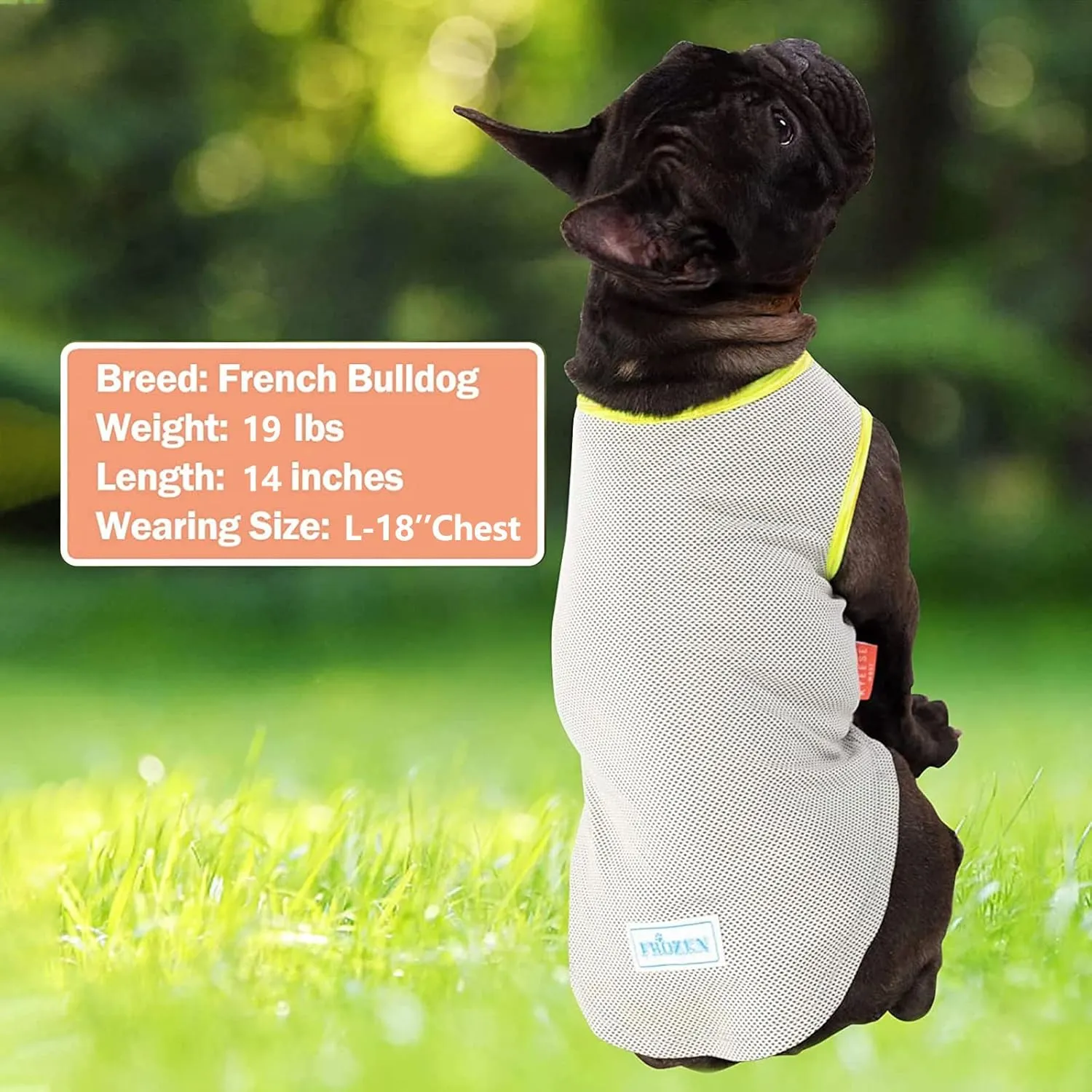 KYEESE 2 Pack Dog Cooling Shirts - Breathable Instant Cooling Vests, Lightweight for Summer Dog Apparel, Blue Grey, X-Large