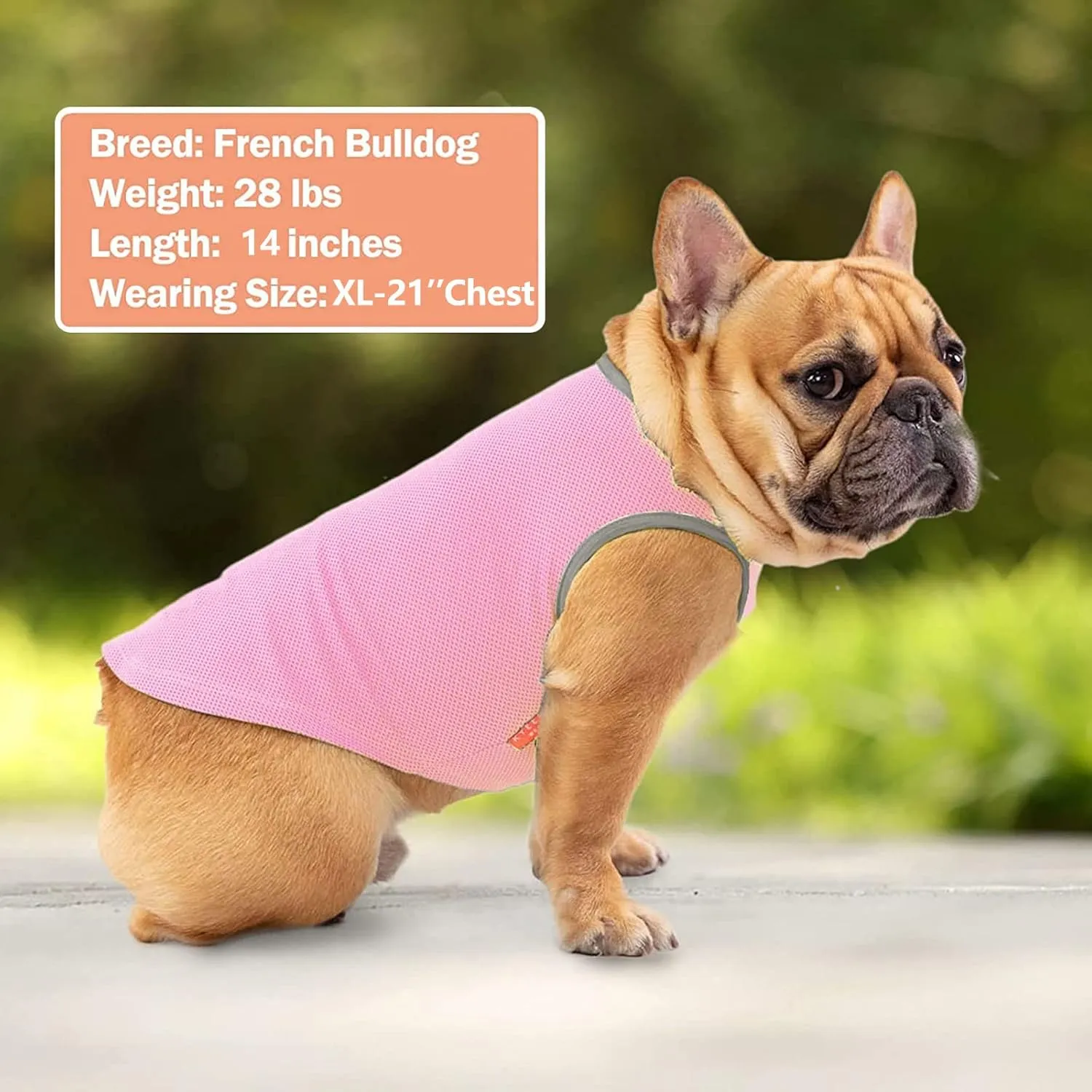 KYEESE 2 Pack Dog Cooling Shirts Dogs Breathable Instant Cooling Dogs Vest Lightweight for Summer Dog Apparel, Pink Grey, Medium