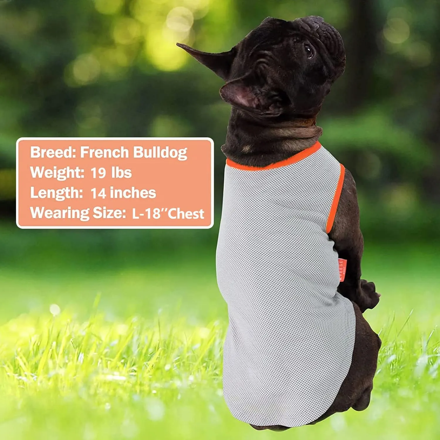 KYEESE 2 Pack Dog Cooling Shirts Dogs Breathable Instant Cooling Dogs Vest Lightweight for Summer Dog Apparel, Pink Grey, Medium