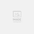 Specialized 2fo Flat 1.0 Shoe
