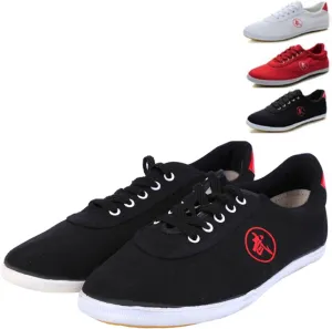 Tai-Chi Wu Shu Kung Fu Shoes for Men Women Chinese Martial Arts Shoes Boxing Karate Taekwondo Training Morning Exercises Shoes Adults (Size:46 EU,Color:D)