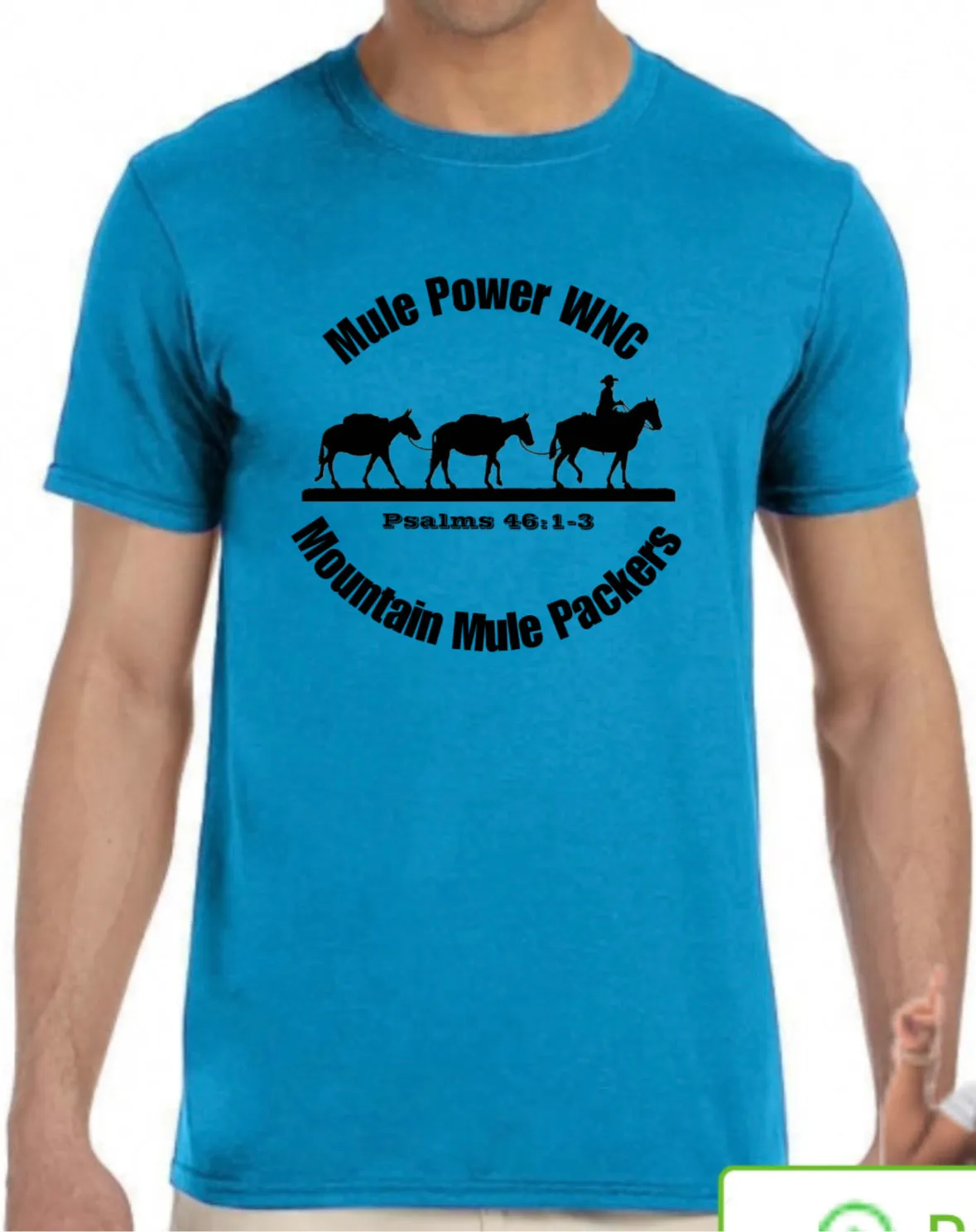 Western NC-Mountain Mule Packers